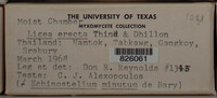 Image Associated With the Occurence